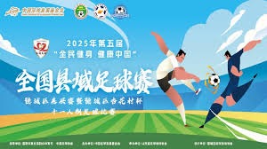 世界杯中的感人瞬间与足球的温暖故事